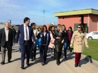 DVT_7990